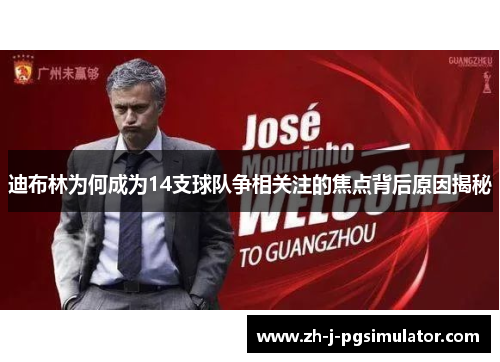 迪布林为何成为14支球队争相关注的焦点背后原因揭秘