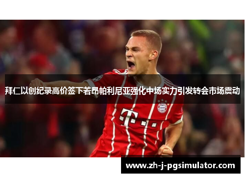 拜仁以创纪录高价签下若昂帕利尼亚强化中场实力引发转会市场震动